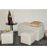 DOBLO LOT DE 1 BANC COFFRE + 2 POUFS DOBLO LOT DE 1 BANC COFFRE + 2 POUFS