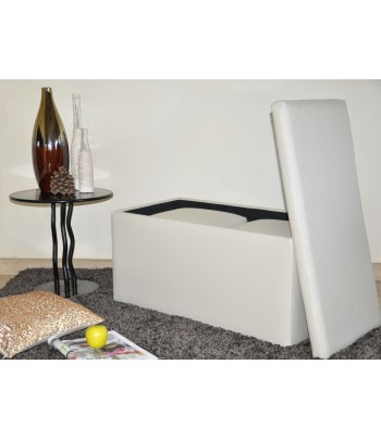 DOBLO LOT DE 1 BANC COFFRE + 2 POUFS
