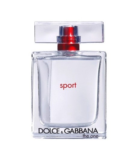 parfum homme dolce gabbana the one