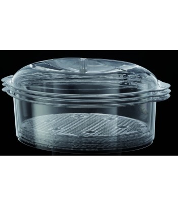 RUSSELL HOBBS Cuiseur vapeur 800W