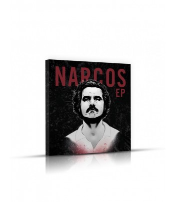 Tableau décoratif Narcos EP