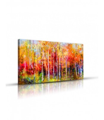 Tableau décoratif Colorful autumn