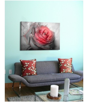 Tableau décoratif Beautiful rose Drawing
