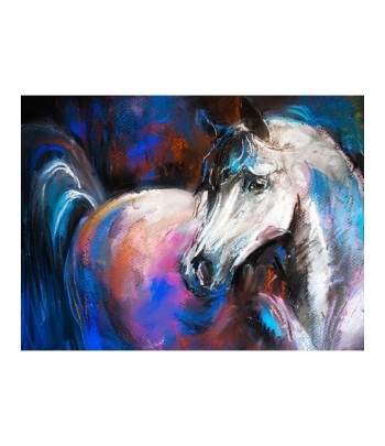 Tableau décoratif White horse painting