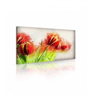 Tableau décoratif Tulip flower