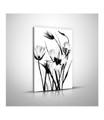 Tableau décoratif Flowers in black