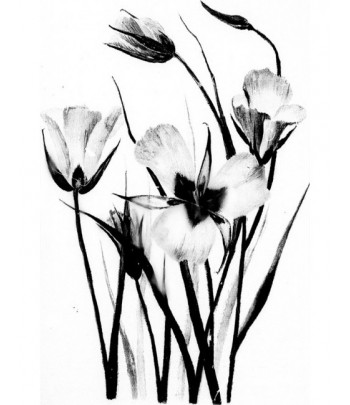 Tableau décoratif Flowers in black