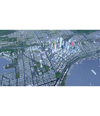 Cities: Skylines Platinum Edition PC Clé