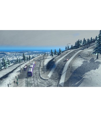 Cities: Skylines Platinum Edition PC Clé