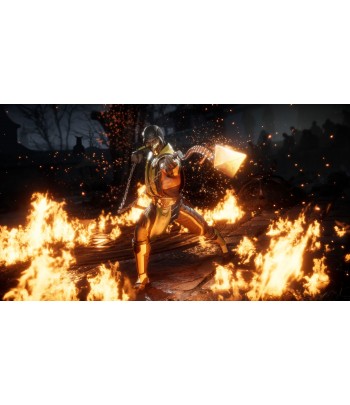 Mortal Kombat 11 PC Clé