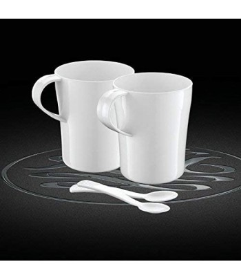 RUSSELL HOBBS Bouilloire 2 tasses et cuillères incluses Maroc - 5
