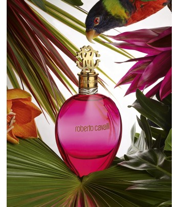 ROBERTO CAVALLI Exotica pour Femme Maroc - 3