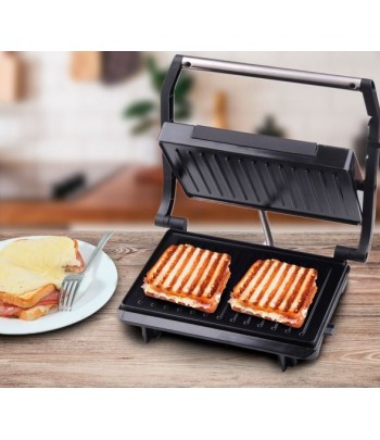 Techwood Grill Viande - Panini Maroc - 4