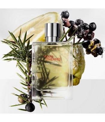 HERMÈS Terre d'Hermès Eau Givrée pour Homme Maroc - 2