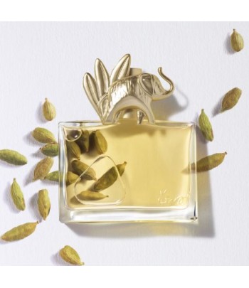 KENZO Jungle edp pour Femme Maroc - 1