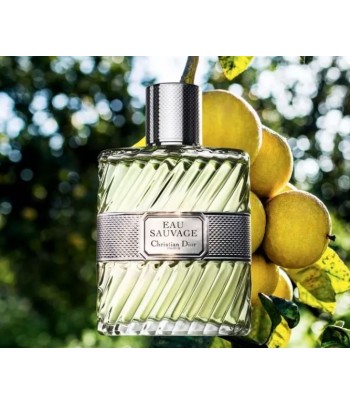 DIOR Eau Sauvage edt pour Homme Maroc - 2