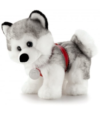 Silver Collection Husky 30 cm  